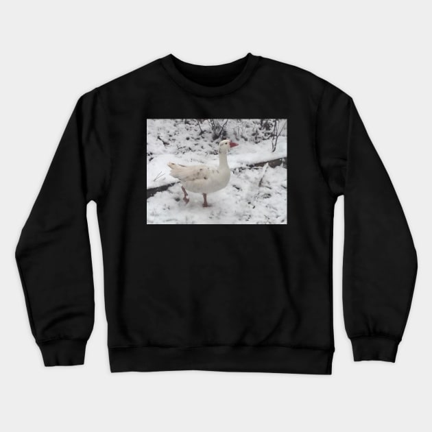 Gander in the Snow Crewneck Sweatshirt by LochNestFarm